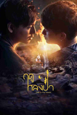 Mùa Lạc Trong Rừng