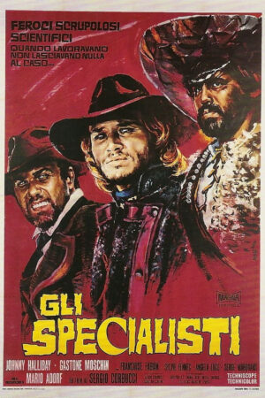 Các chuyên gia Các chuyên gia